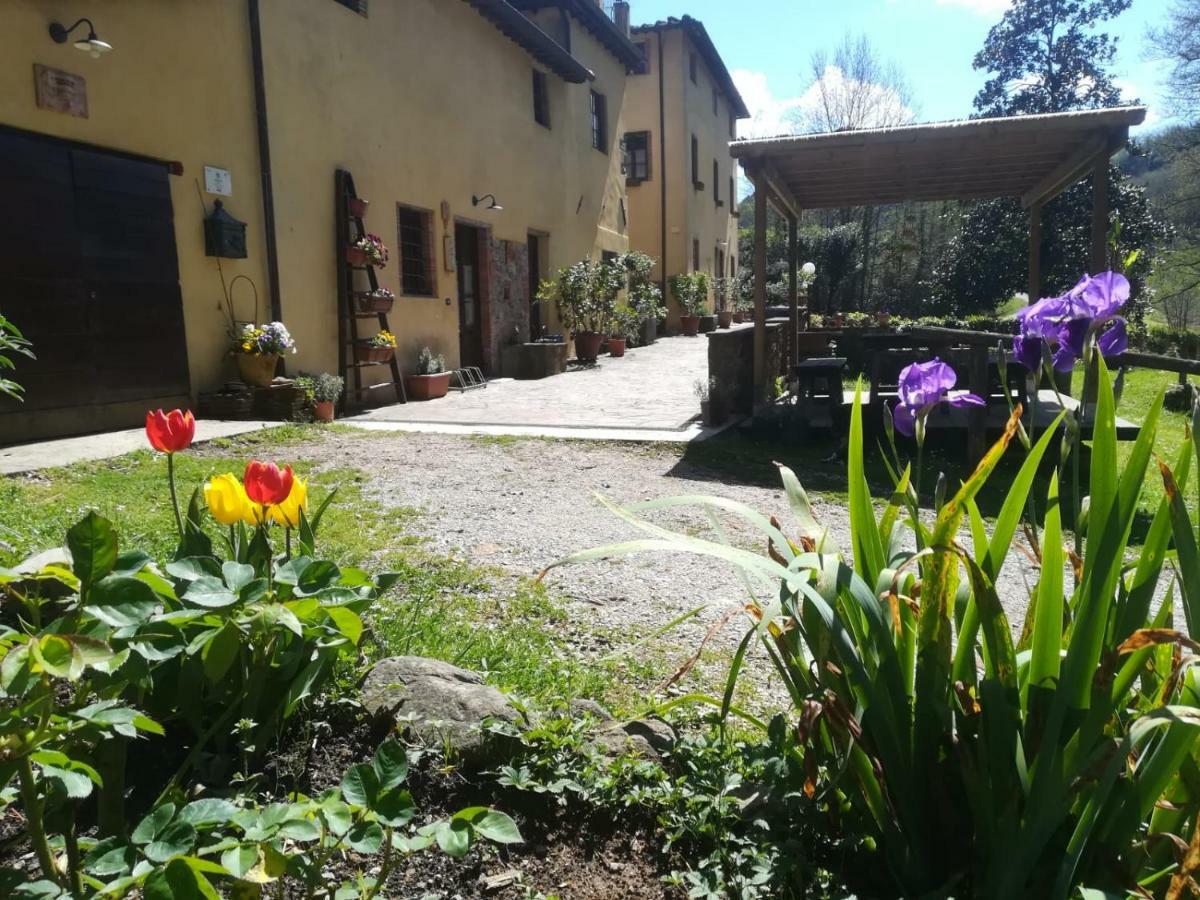 A Casa Del Tosi Vila Lucca Exterior foto